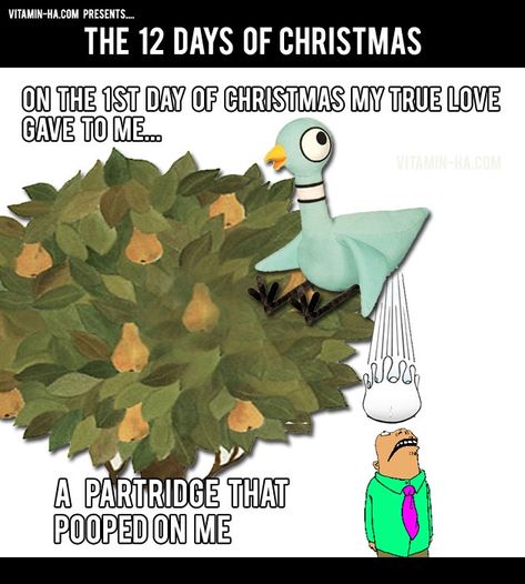 Funny 12 Days Of Christmas, 12 Days Of Christmas Funny, Christmas Dump, Class Christmas Party, Funny Lyrics, It Website, Christmas Memes, Christmas Jokes, Christmas Cow