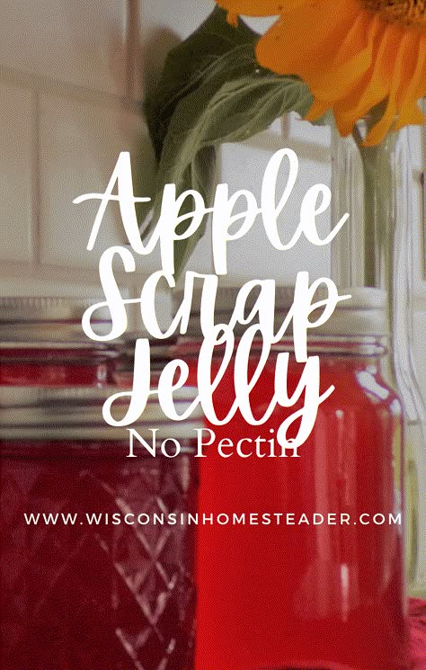 Apple Scrap Jelly Recipe- No Pectin - Wisconsin Homesteader Apple Peeling Jelly, Apple Peal Jam, Small Batch Apple Scrap Jelly, Apple Scraps Jelly, Apple Jelly No Pectin, Apple Scrap Recipes, Apple Scrap Jelly Recipe Canning, Apple Scrap Jelly No Pectin, Scrap Apple Jelly Recipe