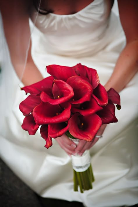 18 of the Most Beautiful Calla Lily Bouquets Ever Calla Lily Bouquet Wedding, Red Wedding Theme, Calla Lily Wedding, Calla Lily Bouquet, Red Bouquet Wedding, Red Wedding Flowers, Red Bouquet, Lily Bouquet, Prom Flowers