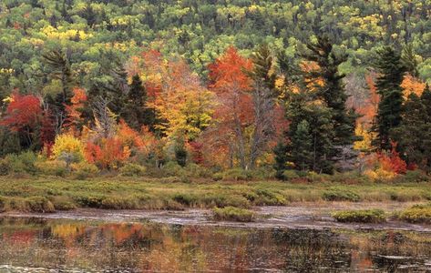 Copper Harbor is the northernmost community in the state. It may arguably have the most vivid display of fall colors as far as the eye can see. Copper Harbor Michigan, Copper Harbor, Leaves Changing Color, Show Of Hands, See The Northern Lights, Upper Peninsula, Autumn Scenery, Travel Spots, So Thankful