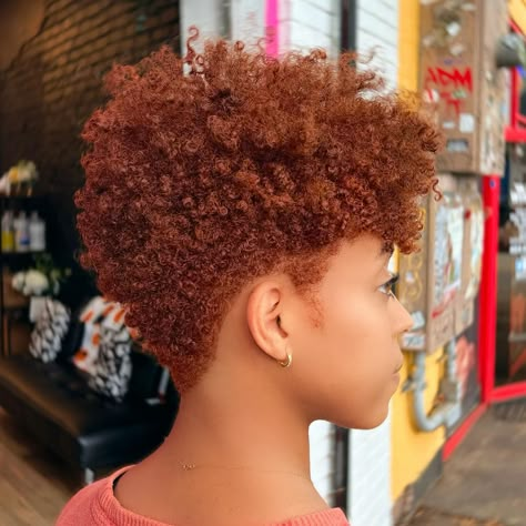 Image 1 of 1 Natural Short Cuts, Short Natural Styles, Natural Haircuts, Short Natural Haircuts, Short Natural Curly Hair, Short Natural Hairstyles, Tapered Natural Hair, Natural Hair Short, Hair Short Cuts