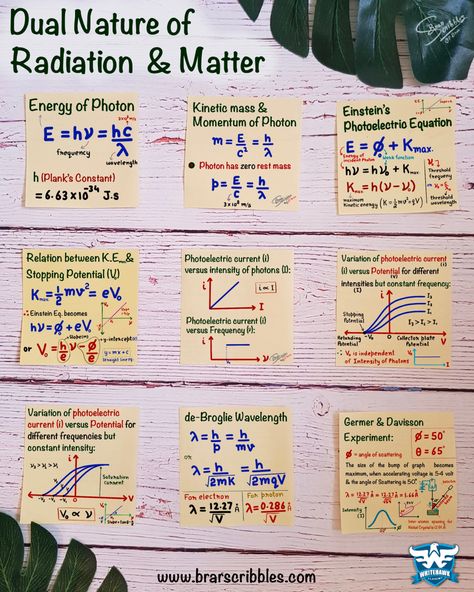 Lean all important formulas and graphs of Dual Nature of Matter & Radiation (Physics: Class 12th) from these cheat sheats … very useful for preparation of Board Exams, NEET & IIT-JEE #neetexam #physics #class12 #studying #studytips #studygram #notes #cheatsheet #stemeducation #stem Nuclei Physics Notes, Modern Physics Formula, Physics Neet Formula, Physics Notes Class 12 Alternating Current, Flashcards For Neet, Physic Formula Notes, Neet Ug Notes, Dual Nature Of Radiation And Matter Notes, Modern Physics Notes