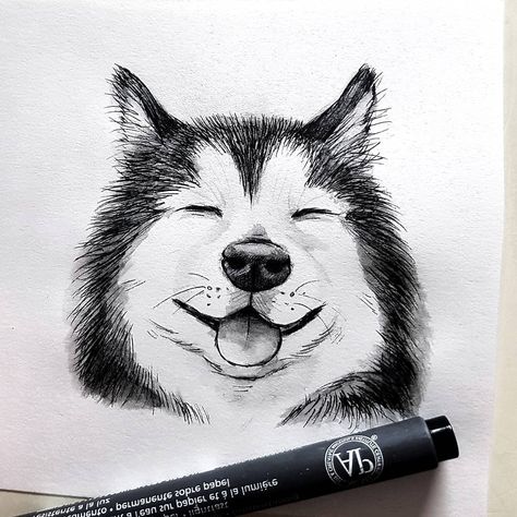 Dog Sketch Easy, Dog Pencil Drawing, Husky Drawing, Easy Disney Drawings, Animal Drawings Sketches, Dog Sketch, 강아지 그림, Art Drawings Sketches Pencil, Art Tools Drawing