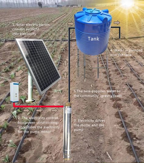 Farm agriculture irrigation sprinkler system deep well solar panel powered water pump drip irrigation Kit https://m.alibaba.com/product/1600541582262/Farm-agriculture-irrigation-sprinkler-system-deep.html?__sceneInfo={"cacheTime":"1800000","type":"appDetailShare"} Farm Irrigation System, Drip Irrigation System Design, Irrigation System Design, Water Sprinkler System, Irrigation System Diy, Fodder System, Irrigation Methods, Farm Agriculture, Water Pump System