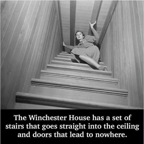 Winchester Mansion, Sarah Winchester, Haunted House Stories, Winchester House, Winchester Mystery House, Mystery House, Newest Horror Movies, Creepy Houses, Bizarre Facts