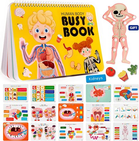 Montessori Busy Book, Anatomy Book, Human Body Activities, Human Body Anatomy, Kindergarten Learning Activities, Homeschool Learning, Kindergarten Learning, Educational Books, Body Anatomy