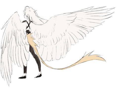 Bird Tail Drawing, Demon Tail Drawing Reference, Winged Human Art, Bird Person Character Design, Tail Drawing Reference, Person With Wings Drawing Reference, Avian Humanoid, Human Wings, Poses Manga