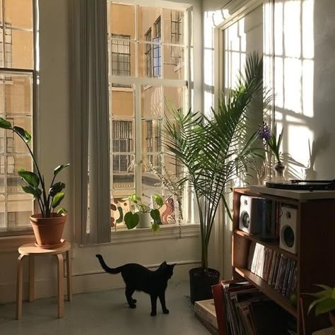 aesthetic , House , home , room , alternative , vintage , black cat , cute , indie , soft grunge , Hipster , Cat Apartment, Vintage Apartment, Trendy Apartment, Aesthetic Apartment, Old Apartments, Apartment Goals, Apartment Decoration, Have Inspiration, London Apartment