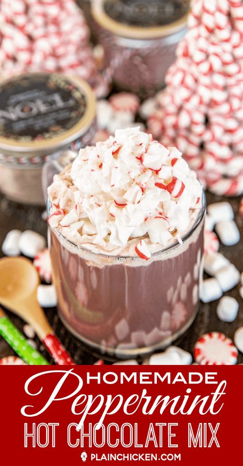 Hot Chocolate Mix Recipes Dry, Peppermint Hot Chocolate Mix, Peppermint Hot Chocolate Recipe, Hot Cocoa Mix Recipe, Hot Chocolate Mix Recipe, Homemade Dry Mixes, Peppermint Cocoa, Homemade Hot Chocolate Mix, Diy Hot Chocolate