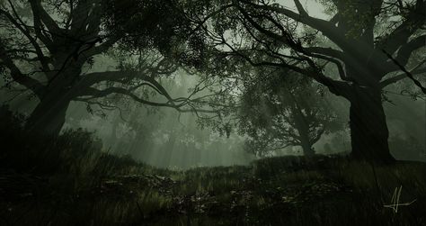 Dark Forest, Alis A on ArtStation at https://www.artstation.com/artwork/0XY06E 1920 X 1080 Hd Wallpaper Desktop Aesthetic Dark, Pc Backgrounds 1920x1080, Dark Background For Laptop, Forest Widgets, Moody Computer Wallpaper, Macbook Wallpapers Dark, Dark Green Wallpaper Laptop, Dark Green Ipad Wallpaper, Aesthetic Green Wallpaper Desktop