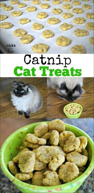 Homemade Cat Treats Recipes, Diy Cat Treats, Catnip Treats, Pet Recipes, Homemade Pet Treats, Pet Treats Recipes, Kat Diy, Chat Diy, Homemade Cat Food