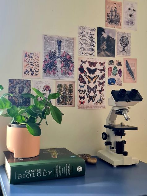 Biologist Room Aesthetic, Notion Cover Aesthetic Biology, Science Classroom Decorations Middle School, Plant Physiology Aesthetic, Evolutionary Biology Aesthetic, Biology College Aesthetic, Biology Decorations Ideas, Science Asthetic Picture, Conservation Biology Aesthetic