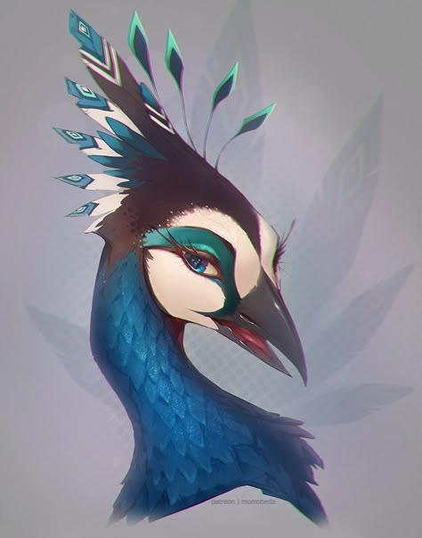 Koko on X: "People seem to absolutely adore Iara she’s a fan favorite lately I only have three pieces of her but all of them are amazing the creator @saphgriffin and the two portrait artists @Momobeda & @julia_tdc 💖🦚 https://t.co/oDBy7M7F7Z" / X Peacock Character Design Concept Art, Peacock Concept Art, Peahen Illustration, Peacock Fursona, Peacock Human Hybrid, Anthro Peacock, Peacock Aarakocra, Peacock Character Design, Peacock Hybrid