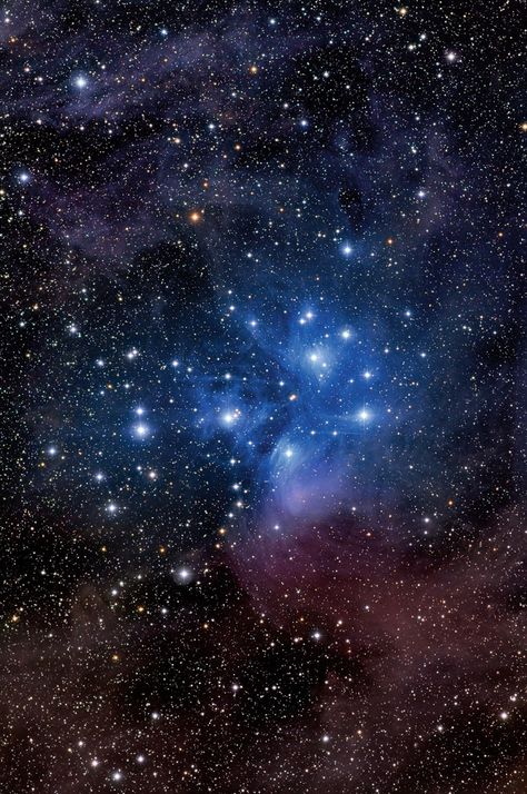 The Pleiades Fantastic Mr Fox Wolf, Moon And Space, We Are Made Of Stardust, Space And Universe, Earth At Night, Stars Astronomy, The Seven Sisters, Love Oracle, Made Of Stardust