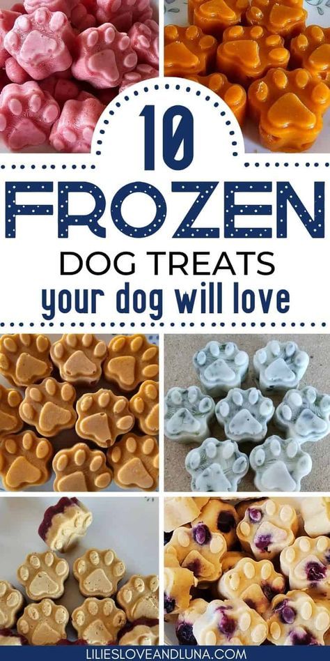 Homemade frozen dog treats are easy to make. Frozen dog treats can be made with just a few ingredients and some ice cube trays. These frozen dog treats recipes are easy to make with silicone molds. Ice Cube Dog Treats, Icing Recipe For Dog Treats, Dog Cold Treats, Treats For Dogs With Sensitive Stomach, Diy Dog Ice Cream Recipes, Frozen Dog Treats Homemade Pumpkin, Dog Treats In Silicone Molds Baked, Dog Bone Filler Recipes, Dog Treat Molds