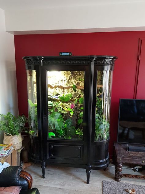 Terrarium Furniture Ideas, Terrarium Bedroom, Dresser Terrarium, Snake Terrarium Ideas Ball Python, Reptile Room Aesthetic, Terrarium Furniture, Terrarium Room, Terrarium Design, Aquarium Tanks