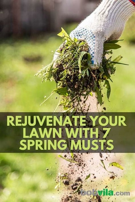 how to prepare your lawn for spring Diy Lawn Care, Lawn Edging Ideas, Lawn Care Flyers, Natural Lawn, Care Tasks, Organic Lawn Care, Lawn Care Business Cards, Lawn Repair, Increase Curb Appeal