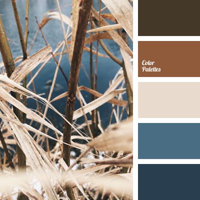 In Color Balance, Color Concept, Neutral Paint Color, Color Palette Ideas, Wall Living Room, Palette Ideas, Pallet Painting, Palette Inspiration, Room Color Schemes