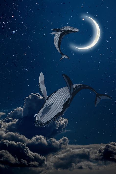 Sky Whale Drawing, Whales In The Sky Art, Whales In Space, Space Whale Wallpaper, Sky Whale Art, Humpback Whale Wallpaper, Whale In Clouds, Whale In Sky, Whale Wallpapers