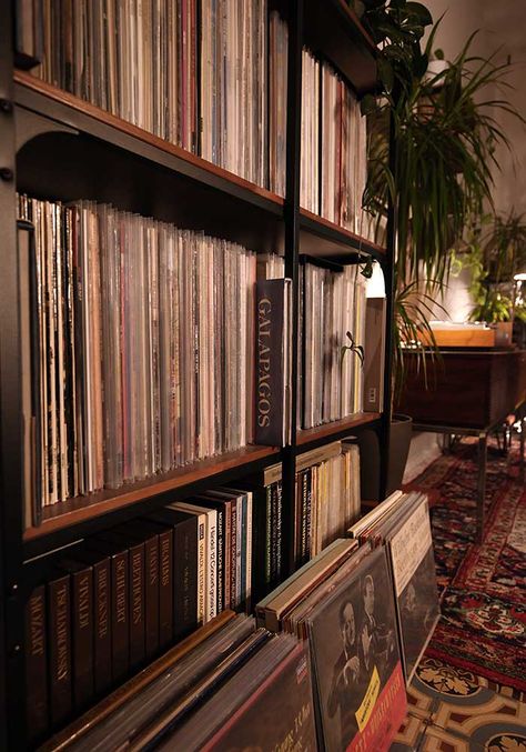 Record Collection Living Room, Record Storage Aesthetic, Cozy Jazz Aesthetic, Jazz Aesthetic Bedroom, Vinly Recorder, Record Collection Aesthetic, Vinyl Collection Aesthetic, Record Collection Display, Vinyl Shelves