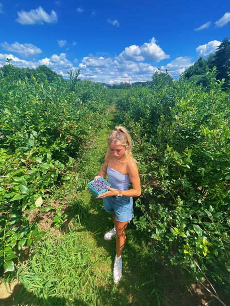 Blueberry Field Photoshoot, Blueberry Picking Outfit, Berry Picking Photoshoot, Berry Picking Aesthetic, Picking Berries Aesthetic, Blueberry Picking Aesthetic, Blueberry Picking Pictures, Picking Blueberries, Blueberry Bushes Aesthetic