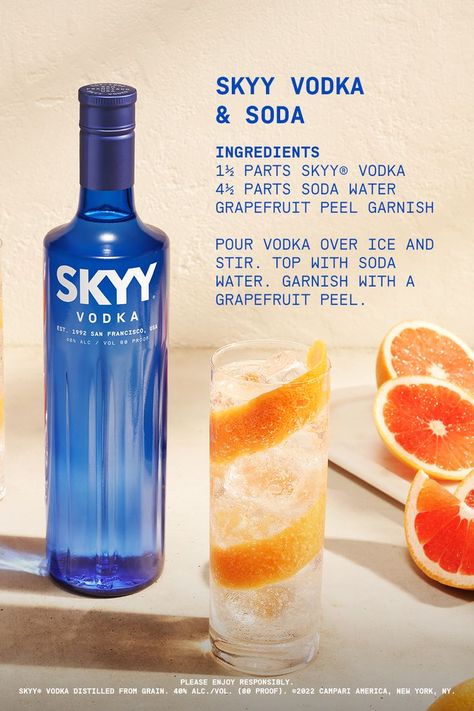 Drinks Ads, Functioning Alcoholic, Soda Stream Recipes, Whiskey Drinks Recipes, Skyy Vodka, Craft Cocktail Recipe, Famous Drinks, Brunch Bar, Cocktail Drinks Alcoholic