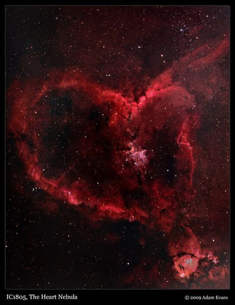 Heart Nebula, Carina Nebula, Hubble Telescope, Orion Nebula, Nebulas, Hubble Space, Space Photos, Space Images, Space Pictures