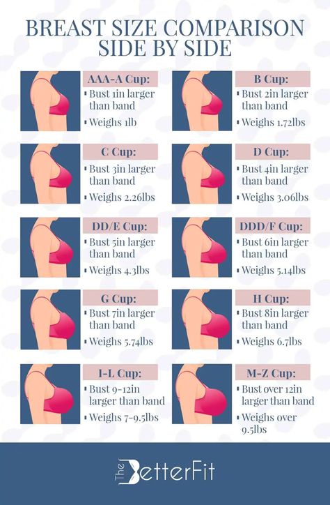 Food charts