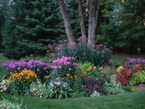 wisconsin landscape ideas - Google Search Yard Landscape Ideas, Cheap Landscaping Ideas, Flower Garden Ideas, Front Yard Ideas, Shade Flowers, Yard Landscape, Lawn And Landscape, Fine Gardening, Love Garden