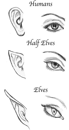 Half-elf | Forgotten Realms Wiki | Fandom Elf Drawings, Half Elf, Pencil Art Drawings, Anime Drawings Tutorials, Art Tutorials Drawing, Sketchbook Art Inspiration, Art Drawings Sketches Simple, Art Inspiration Drawing, Drawing Tips