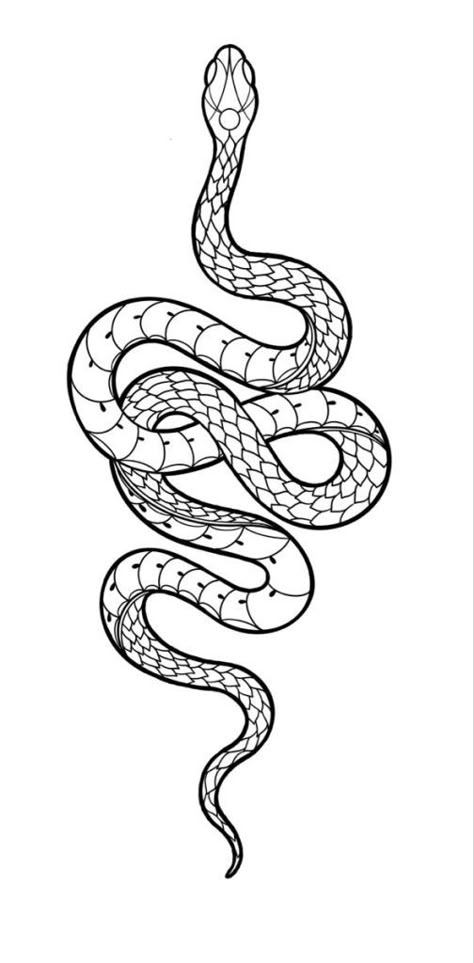 Snake Tattoo Stencil, King Cobra Tattoo, Snake Outline, Cobra Tattoo, Serpent Tattoo, Snake Scales, Snake Drawing, Tattoo Outline Drawing, Snake Tattoo Design