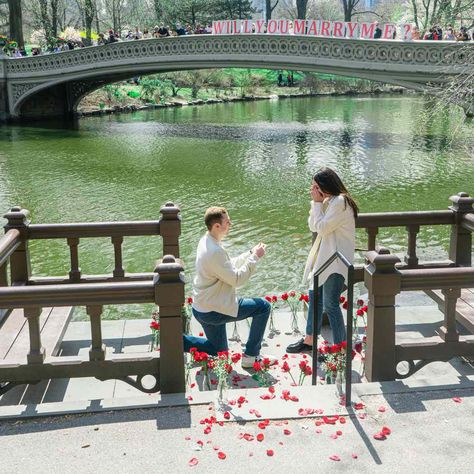 10 Dreamy Central Park Engagement Spots Engagement Nail Ideas, Engagement Cake Designs, Cute Ways To Propose, Engagement Nail, Texas Bachelorette Party, Romantic Ways To Propose, Engaged Cake, Texas Bachelorette, Outdoor Proposal