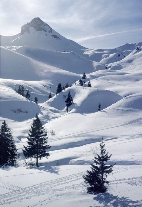 One of my favourite places in the world. Winter - Hahnenmoos Valley, Adelboden, Switzerland. Snow Snow Covered Mountains, Snow Valley, Adelboden, Winter Schnee, Winter Szenen, Wallpaper Bts, Winter Scenery, Winter Beauty, Snow Mountain