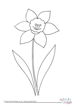 Daffodil Template Free Printable, Easy Daffodil Drawing, Daffodil Embroidery Simple, Simple Daffodil Drawing, Daffodil Stencil, Daffodil Outline, Daffodil Template, Daffodil Clipart, Daffodil Drawing