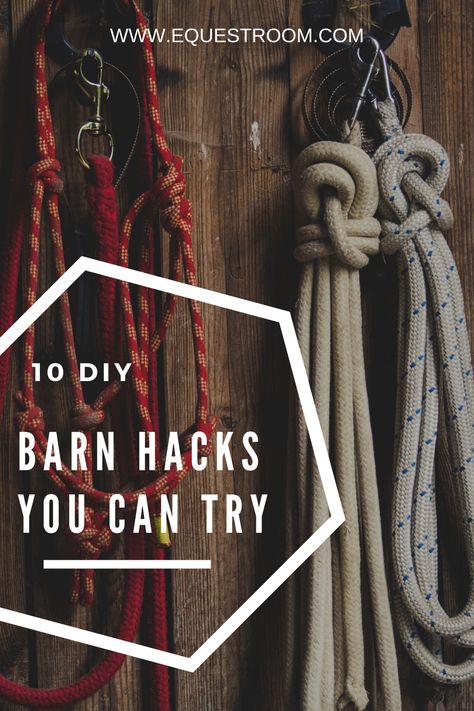 Tack Room Makeover, Horse Show Prep, Horse Tack Organization, Horse Diy Projects, Barn Hacks Horse, Diy Stables For Horses, Tack Room Ideas Diy, Diy Horse Barn Ideas, Tackroom Ideas Equestrian