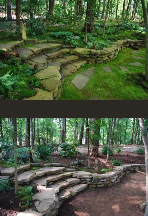 A fantastically thorough article about different types of moss and how to grow them in your own landscape. So much information! Types Of Moss, Growing Moss, Garden Steps, Moss Garden, Rock Garden Landscaping, Garden Types, Stone Path, Have Inspiration, Woodland Garden