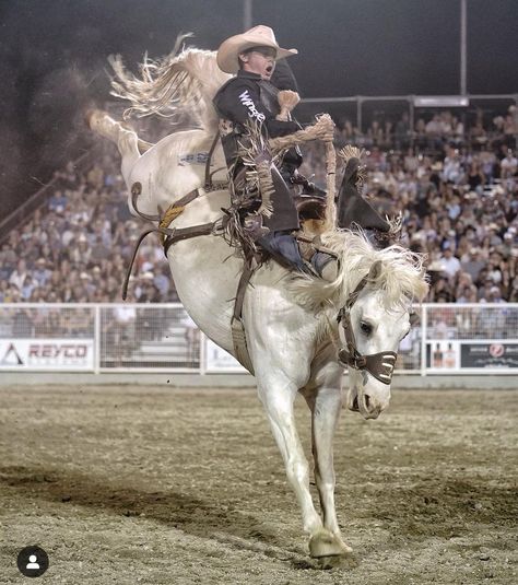 Bronc Rider, Cowboy, Art