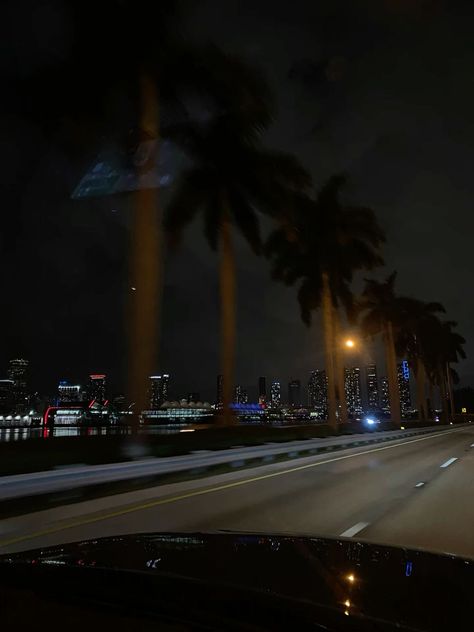 Miami At Night Aesthetic, Miami Night Aesthetic, Miami Aesthetic Night, Florida At Night, Rainy Day Beach, Summer Night Vibes, Palmtrees Aesthetic, Miami At Night, Dream Life Photos