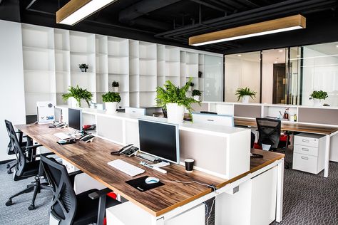 Stellar Mega Films’ Beijing Office Plant Office Design, Open Office Design, Office Layout Ideas, Office Space Ideas, Office Idea, Corporate Office Decor, Corporate Office Design, Office Renovation, Office Space Design