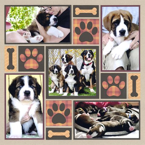 Layout System, Scrapbooking Pets, Dog Scrapbook Layouts, Pet Scrapbook Layouts, Family Scrapbook Layouts, Dog Scrapbook, Mosaic Moments, Scrapbook Design Layout, Beautiful Scrapbook Layouts