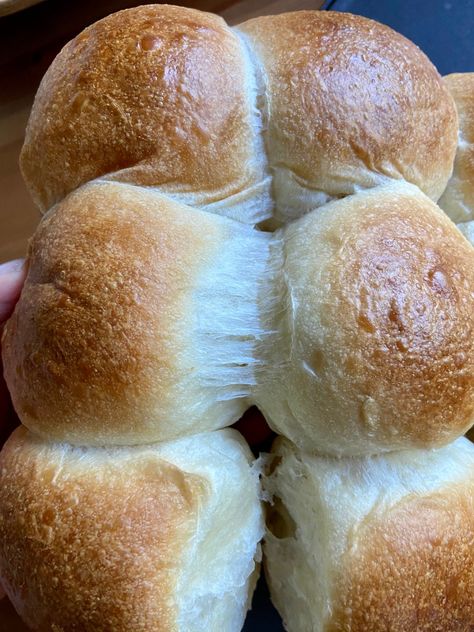 Baguette Sourdough, Natashas Baking, Milk Bread Rolls, Easy Sourdough Discard Recipes, Sourdough Einkorn, Sourdough Buns, Sourdough Rolls, Einkorn Recipes, Milk Bread Recipe