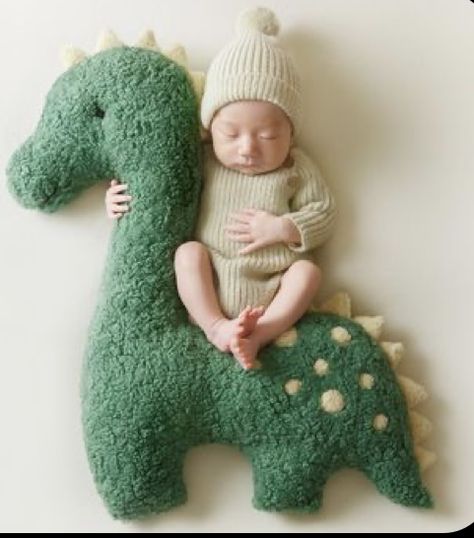 Knitted Onesie, Infant Photoshoot, Newborn Party, Dinosaur Pillow, Plush Dinosaur, Photo Shoot Outfits, High Quality Photography, Baby Picture Frames, Baby Milestones Pictures