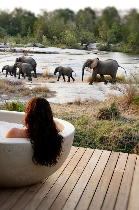 Spotting wildlife from a bathtub at Londolozi Granite Suites - Kruger National Park, South Africa jesseyjay9.wordpr... Luxury Safari Lodge, Honeymoon Places, Luxury Safari, Africa Do Sul, Travel Africa, Safari Lodge, Africa Safari, Romantic Honeymoon, Honeymoon Ideas