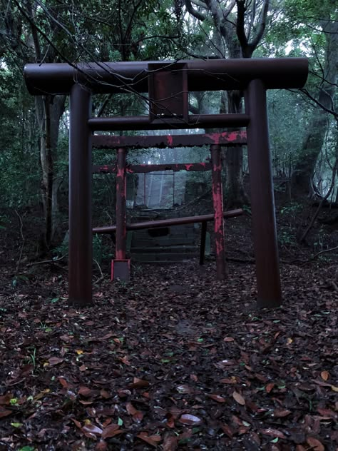 ITAP of an abandoned shrine deep within a forest in Japan by JammyCroissant . . . . #photos #amazingworld #world #amazingphotography #amateurphotography #photography #incrediblephotos Abandoned Shrine Japan, Abandoned Japanese Temple, Abandoned Shrine, Shrine Aesthetic, Forest Shrine, Abandoned Japan, Abandoned Forest, Japan Forest, Background Mood