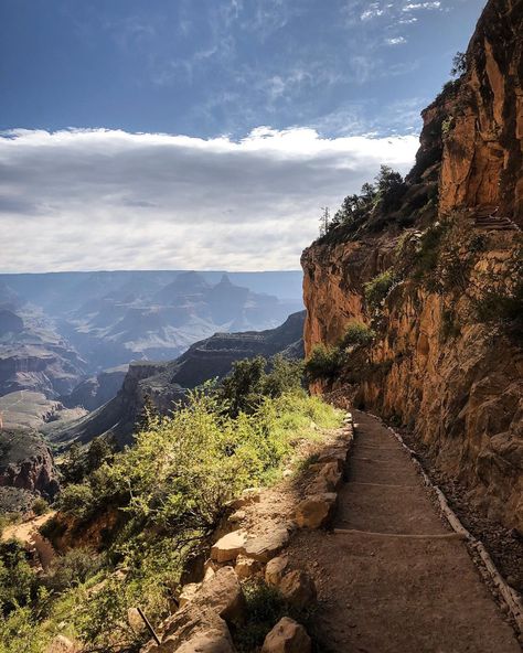 Torrie Jay White on Instagram: “This morning, we walked into the Grand Canyon. Not far. 1.5 miles on Bright Angel Trail, one of the parks best maintained and most…” Bright Angel Trail Grand Canyon, Jay White, Bright Angel Trail, Grand Canyon National Park, The Grand Canyon, Usa Travel, Travel Usa, This Morning, Grand Canyon