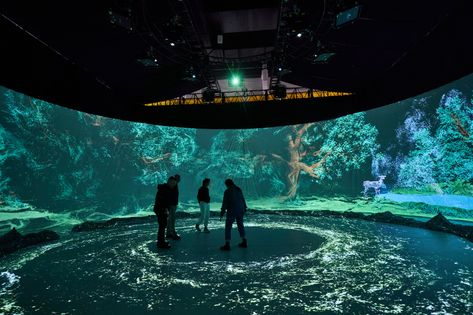 Circle of life on Behance 3d Projection Mapping, Dubai Aquarium, Roanoke Island, Museum Exhibition Design, Aquarium Design, Projection Mapping, 3d Video, Circle Of Life, Immersive Experience