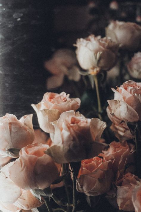 Vogue Vintage, Earthy Aesthetic, Romantic Lighting, Vintage Theme, Picture Collage, Flower Plant, Aesthetic Images, Nature Images, Retro Aesthetic