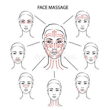 Face Massage Oil, Facial Massage Techniques, Face Massage Techniques, Facial Massage Routine, Face Yoga Facial Exercises, Yoga Facial, Facial Exercises, Skin Tissue, Facial Muscles