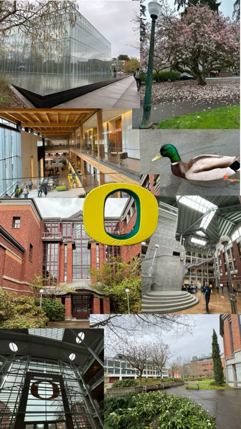 #university #oregon #UofO #duck Oregon Aesthetic, Oregon College, My Dream Future, Oregon Life, College Vision Board, Dorm Room Inspo, College Majors, The Life I Want, Dream College