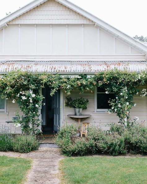 S I S T E R on Instagram: “Turning roses, turning seasons. ~ Photography @marniehawson Location @the_estate_trentham For @countrystylemag ~ #aseasonalshift…” Weatherboard Cottage, Front Of A House, Country Style Magazine, Weatherboard House, House Colour, House Colours, Revere Pewter, Pintura Exterior, Cottage Exterior